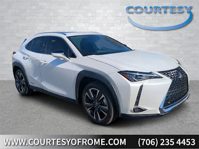 2020 Lexus UX