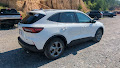2025 Ford Escape Hybrid ST-Line